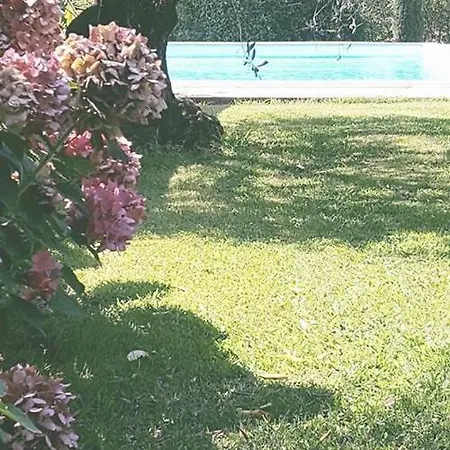 L'agrumeto