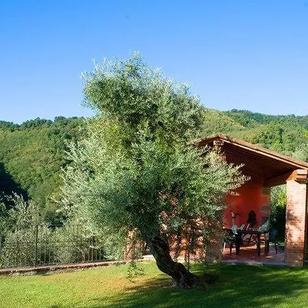 L'agrumeto * Borgo a Buggiano